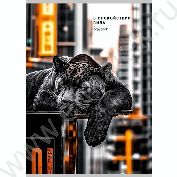 Тетрадь  96л клетка "Дикая кошка в городе" ассорти | Фото 1