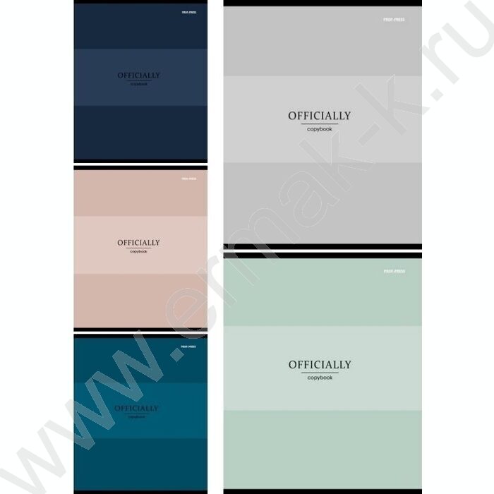 Тетрадь  48л клетка "Officially" ассорти | Фото 1