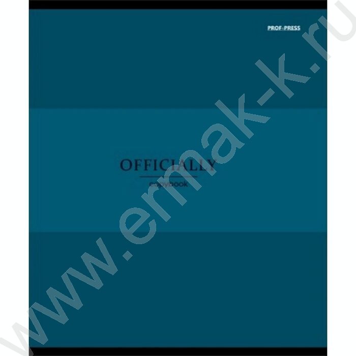 Тетрадь  48л клетка "Officially" ассорти | Фото 4