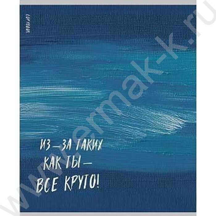 Тетрадь  48л клетка "Вдохновляющие надписи" ассорти | Фото 2