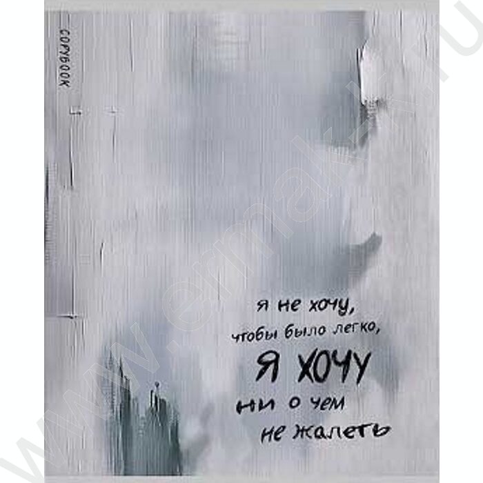 Тетрадь  48л клетка "Вдохновляющие надписи" ассорти | Фото 6