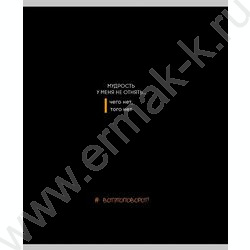 Тетрадь  48л клетка "Забавные фразы-1" ассорти NEW | Фото 3