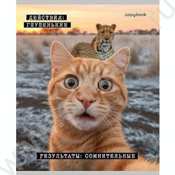 Тетрадь  48л клетка "Коты-мемы" ассорти NEW | Фото 2