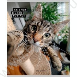 Тетрадь  48л клетка "Коты-мемы" ассорти NEW | Фото 3