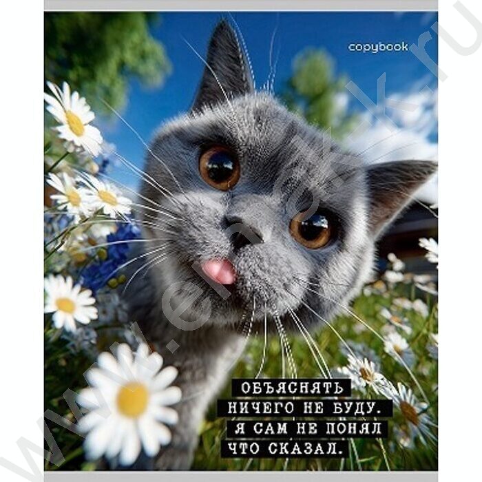 Тетрадь  48л клетка "Коты-мемы" ассорти | Фото 6