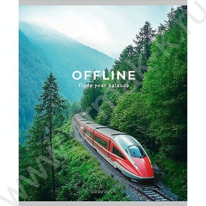 Тетрадь  48л клетка "Природа и транспорт" ассорти | Фото 6