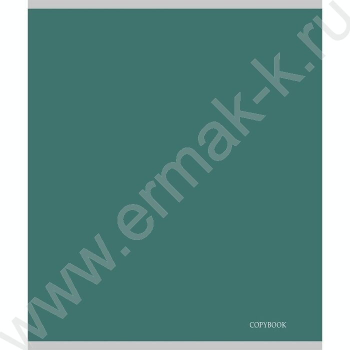 Тетрадь  48л клетка "Calligraphy" /лен/ ассорти | Фото 5