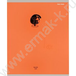 Тетрадь  48л клетка "Black cat" /мат.лам.,выб.лак./ ассорти NEW | Фото 3