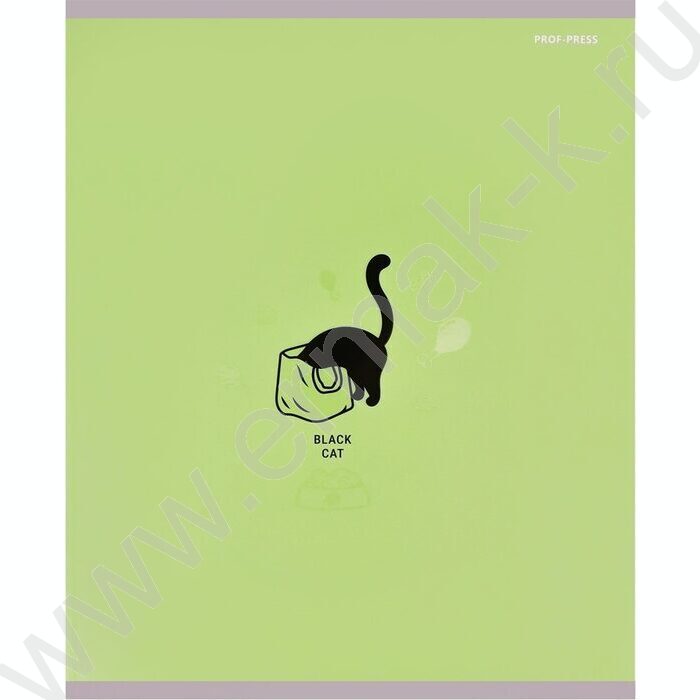 Тетрадь  48л клетка "Black cat" /мат.лам.,выб.лак./ ассорти | Фото 5