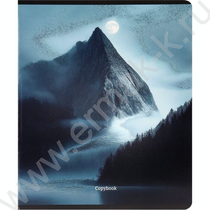 Тетрадь  48л клетка "Лунные пейзажи" /твин-лак,холодная фольга/ ассорти | Фото 3