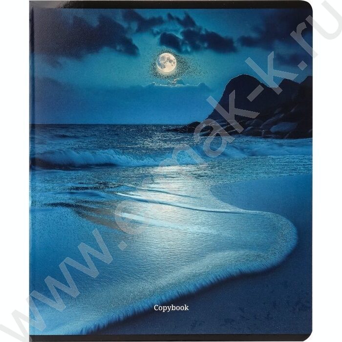 Тетрадь  48л клетка "Лунные пейзажи" /твин-лак,холодная фольга/ ассорти | Фото 4