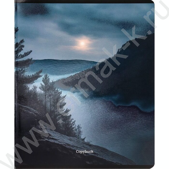 Тетрадь  48л клетка "Лунные пейзажи" /твин-лак,холодная фольга/ ассорти | Фото 5