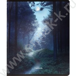 Тетрадь  48л клетка "Лунные пейзажи" /твин-лак,холодная фольга/ ассорти NEW | Фото 6