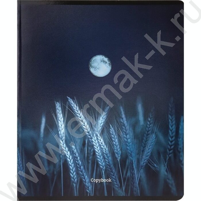 Тетрадь  48л клетка "Лунные пейзажи" /твин-лак,холодная фольга/ ассорти | Фото 7