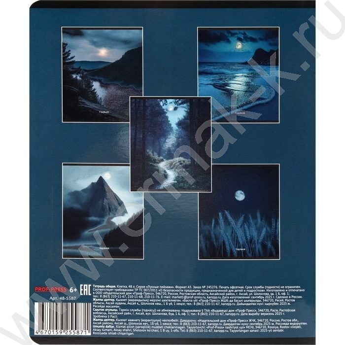 Тетрадь  48л клетка "Лунные пейзажи" /твин-лак,холодная фольга/ ассорти | Фото 8