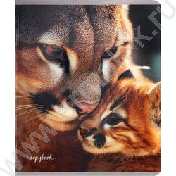 Тетрадь  48л клетка "Мамы и детёныши-1" /твин-лак,холодная фольга/ ассорти NEW | Фото 7