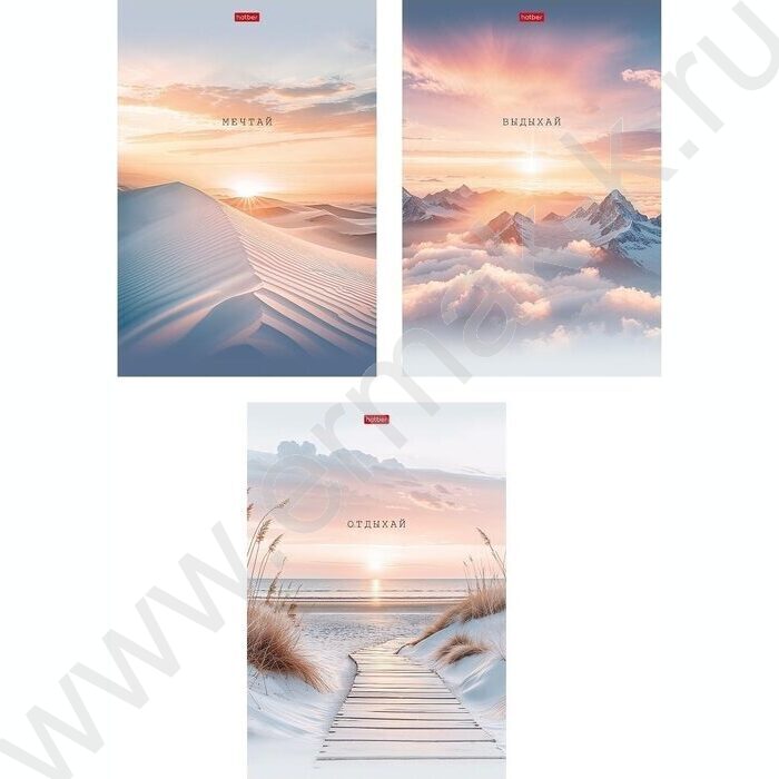 Тетрадь  48л А4 клетка "В моменте" /мат.лам./ ассорти | Фото 1