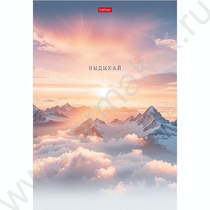 Тетрадь  48л А4 клетка "В моменте" /мат.лам./ ассорти | Фото 2