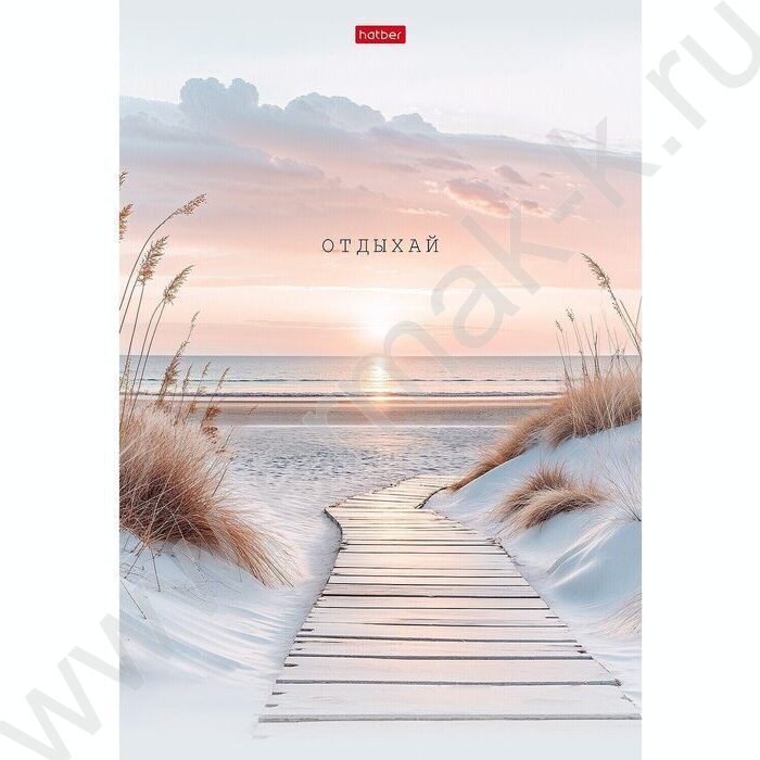 Тетрадь  48л А4 клетка "В моменте" /мат.лам./ ассорти | Фото 3