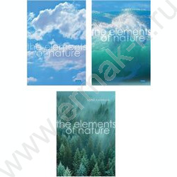 Тетрадь  96л А4 линейка "Элементы природы" /глянц. ламин./ ассорти NEW | Фото 1