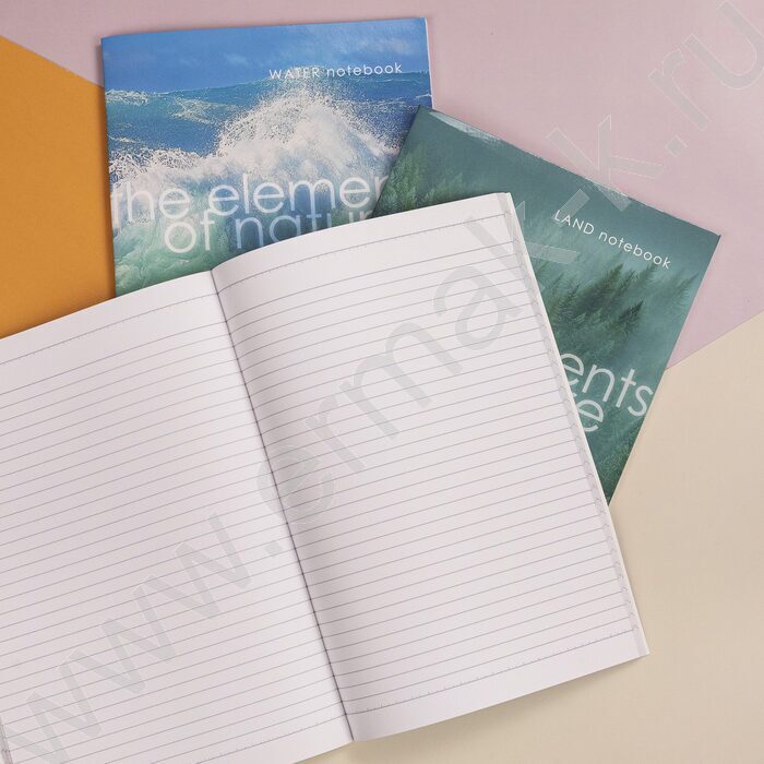 Тетрадь  96л А4 линейка "Элементы природы" /глянц. ламин./ ассорти | Фото 5