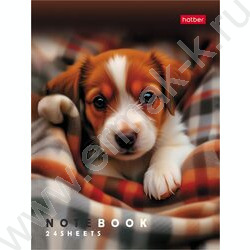 Зап. книжка  24л А6 "Маленькие ушки" клетка,глянц.ламин.,ассорти NEW | Фото 5