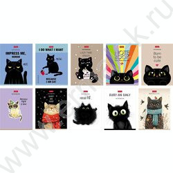 Зап. книжка  32л А6 "Котэ" клетка,мат.ламин.,ассорти NEW | Фото 1