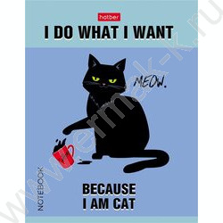 Зап. книжка  32л А6 "Котэ" клетка,мат.ламин.,ассорти NEW | Фото 2