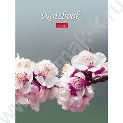 Зап. книжка  32л А6 "Живые моменты" клетка,глянц.ламин.,ассорти NEW | Фото 3