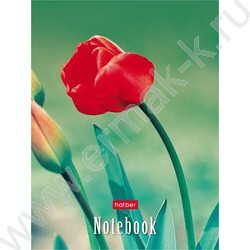 Зап. книжка  32л А6 "Живые моменты" клетка,глянц.ламин.,ассорти NEW | Фото 6