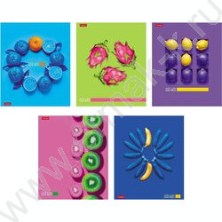 Тетрадь  40л клетка/пластик обл. "New fruits" ассорти NEW | Фото 1