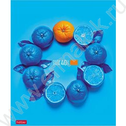 Тетрадь  40л клетка/пластик обл. "New fruits" ассорти NEW | Фото 2