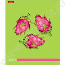 Тетрадь  40л клетка/пластик обл. "New fruits" ассорти NEW | Фото 3