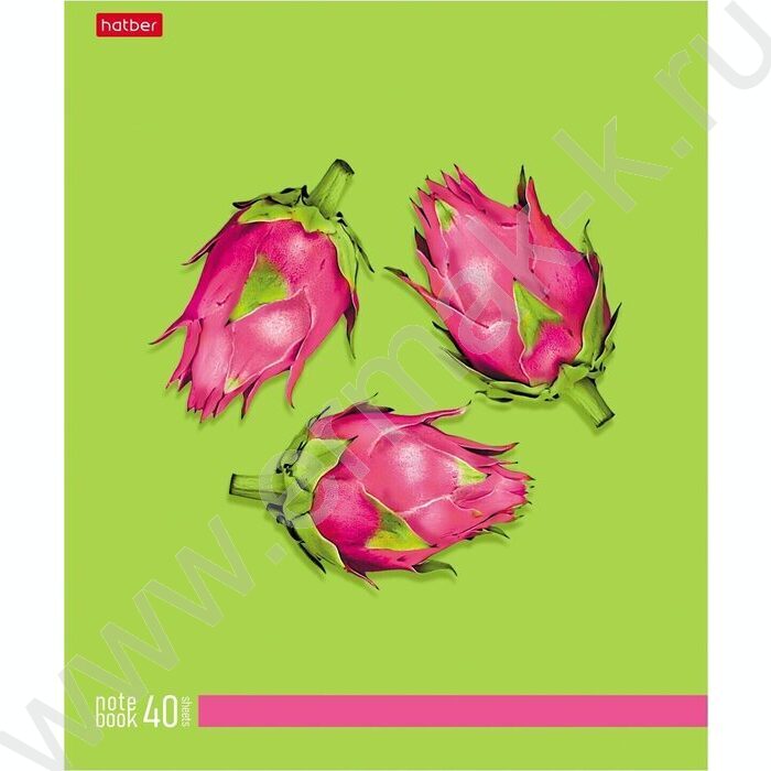 Тетрадь  40л клетка/пластик обл. "New fruits" ассорти | Фото 3