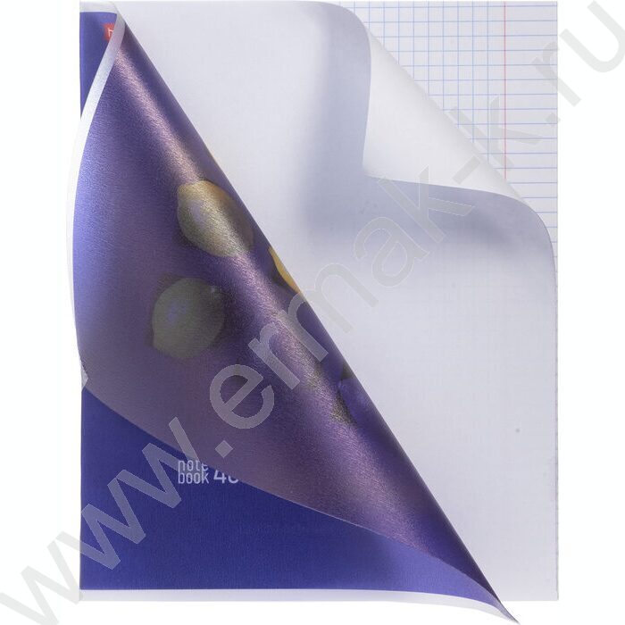 Тетрадь  40л клетка/пластик обл. "New fruits" ассорти | Фото 7