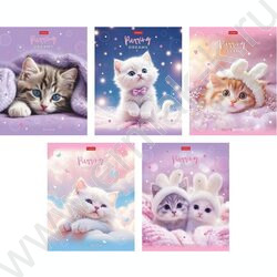 Тетрадь  48л клетка/пластик обл. "Нежные мечты" ассорти NEW | Фото 1