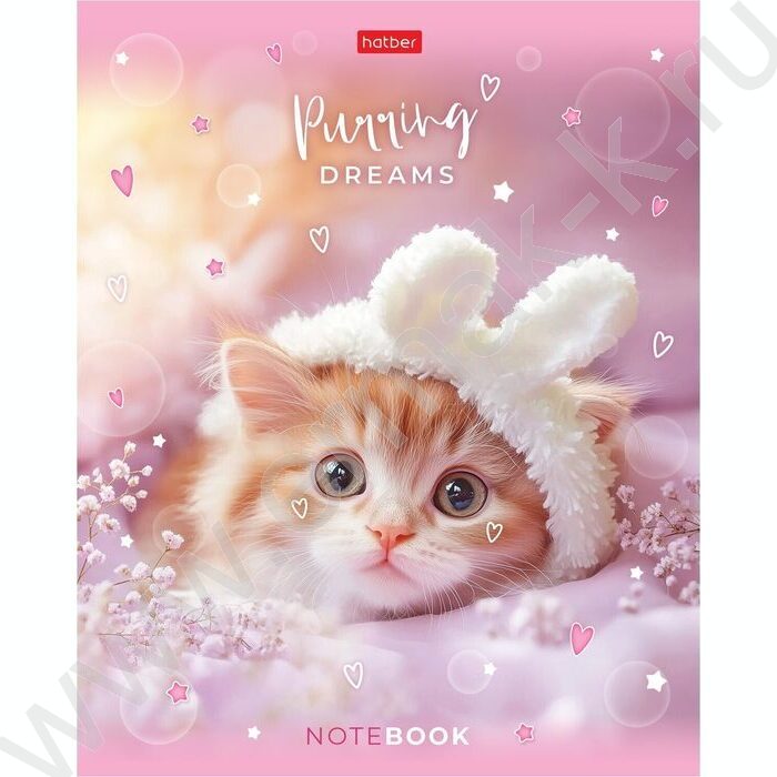 Тетрадь  48л клетка/пластик обл. "Нежные мечты" ассорти | Фото 4