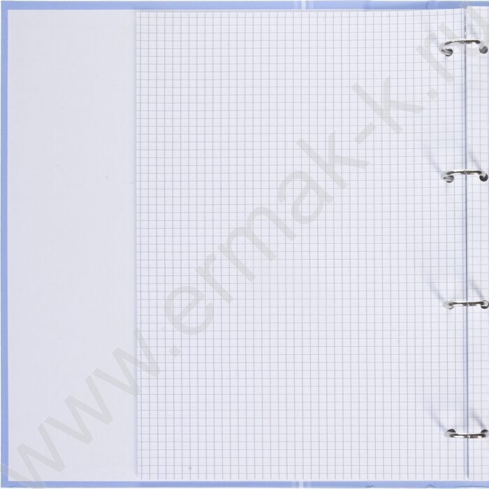 Тетрадь  80л А4 клетка/кольца ламинация Soft-touch/  "NEWtone PASTEL Голубая дымка" | Фото 2