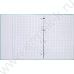 Тетрадь  80л А4 клетка/кольца ламинация Soft-touch/  "NEWtone PASTEL Зеленый нефрит" NEW | Фото 2