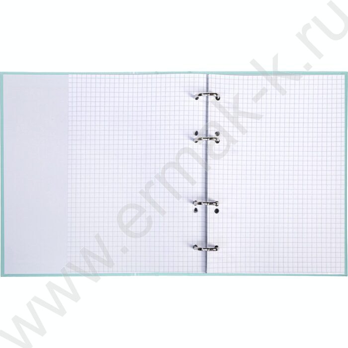 Тетрадь  80л А5 клетка/кольца /ламинация Soft-touch/  "NEWtone PASTEL Зеленый нефрит" | Фото 2