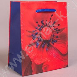 Пакет подарочный бумажный 12*15см Женский микс NEW | Фото 4