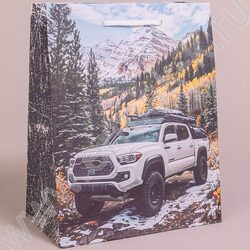 Пакет подарочный бумажный 18*23см Мужской микс NEW | Фото 4