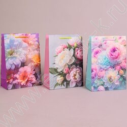 Пакет подарочный бумажный 22*31см Женский микс NEW | Фото 2