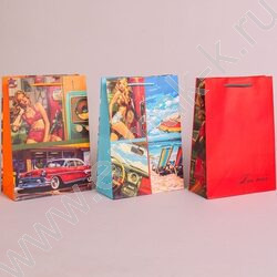 Пакет подарочный бумажный 22*31см Мужской микс NEW | Фото 2