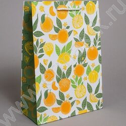 Пакет подарочный бумажный 22*31см Общий микс NEW | Фото 3