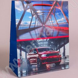 Пакет подарочный бумажный 26*32см Мужской микс NEW | Фото 3