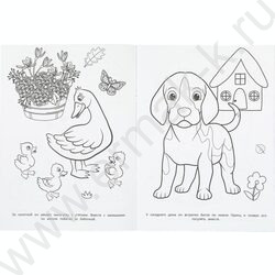 Раскраска А4 Бублик идёт на прогулку NEW | Фото 3