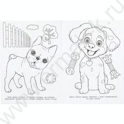 Раскраска А4 Бублик идёт на прогулку NEW | Фото 5