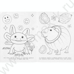 Раскраска А4 Бомбическая.Портал между мирами NEW | Фото 4