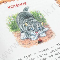 Книжка Читаем по слогам Рассказы и сказки.Толстой Л. Н. NEW | Фото 7